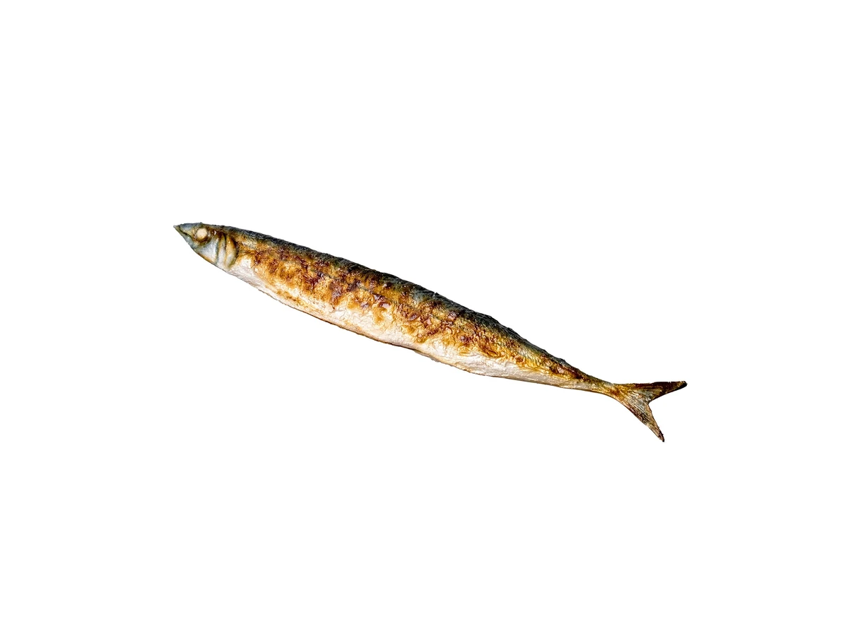 Prusa3D Something Fishy